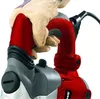 Einhell RT-RH 32, SDS Plus, Červená, Přetížení, 1,2 cm, 800 Náhled obrázku produktu 14