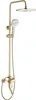 A gold-colored shower fixture set against a white background. Produktbild-Vorschau
