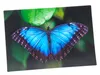 3D Postkarte Blauer Morphofalter Produktbild-Vorschau 1