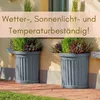 2er Set Pflanzkübel Halbrund direkt an der Wand Pflanzkübel Produktbild-Vorschau 4