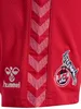 HUMMEL 1 FC Köln Away Shorts 3062-true red 152 Produktbild-Vorschau 4