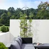 Gardebruk Obelisco per Rose Piante Rampicanti 200 x 40cm in Anteprima dell’immagine prodotto 9