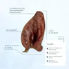 25 Stk Getrocknete Schweineohren Kauartikel Hundesnack Produktbild-Vorschau 5
