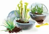 Découvre le monde des plantes carnivores Voir les images du produit 3