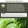 QIDOSHA Brokkoli Extrakt hochdosiert, 13% Sulforap… – Bild 5 Produktbild-Vorschau