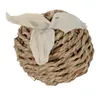 Zolux Ehop Rettich Seegras Nagetierspielzeug, 8 cm, Produktbild-Vorschau 1