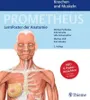 PROMETHEUS LernPoster der Anatomie, Knochen und Muskeln Produktbild-Vorschau 2