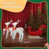 LEADZM 2-teiliges Weihnachtsbeleuchtung Rentier mit Produktbild-Vorschau 6