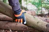 Kettensägen-Handschuhe Keron Forester, Forsthandschuh, Produktbild-Vorschau 6