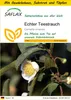 SAFLAX Anzucht Set - Echter Teestrauch - Camellia sinensis Produktbild-Vorschau 1