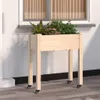 CLORIS Pflanzkübel mit Einsatz und Rollen 71x37x80 cm Produktbild-Vorschau 1