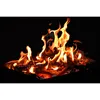 A close-up shot of a campfire with burning logs and flames. Podgląd zdjęcia produktu
