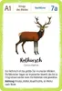 Expedition Natur: Het bosdieren-kwartet Productafbeelding-voorbeeld 3