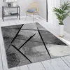 A modern living room with a geometric abstract rug on a wooden floor, a chair, and a plant. Anteprima dell’immagine prodotto
