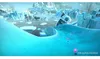 Playstation Games Ps5 Ice Age: Scrat´s Nutty Adventure  PAL Produktbild-Vorschau 3