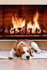 A dog is sleeping in front of a fireplace. Náhľad obrázku produktu