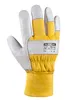 teXXor® Guanti da cantiere invernali in pelle bovina Anteprima dell’immagine prodotto 4