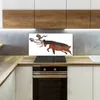Coloray Spritzschutz aus Glas 100x50  Wandkunst Produktbild-Vorschau 3