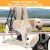 Hondenhulpbrace – Draagbaar achterpootbrace voor honden – Productafbeelding-voorbeeld 5