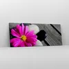 Bild auf Leinwand - Leinwandbild - Stein Blume Produktbild-Vorschau 4