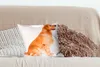 MuchoWow® Zierkissen Sofakissen Wohnzimmer Dekokissen 40x40 Produktbild-Vorschau 4