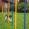dobar 12-teiliges Agility Slalom Set, Hindernis mit 12 Produktbild-Vorschau 9