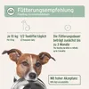 AniForte Arthro Omega Öl für Hunde 250 ml - Natürliches Produktbild-Vorschau 5
