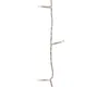Kaemingk Lumineo LED-Lichterkette Basic mit Dimmer 120 LED Produktbild-Vorschau 21
