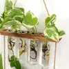 Hängen Pflanzgefäße, 2 Stufen Propagation Station, Ableger Produktbild-Vorschau 4