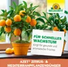Neudorff Azet Zitrus- & MediterranpflanzenDünger - 250 ml Produktbild-Vorschau 7