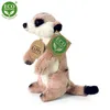 Peluche Suricate 14 Cm Ecologique Voir les images du produit 4