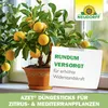 Neudorff Azet DüngeSticks für Zitrus- und Produktbild-Vorschau 6