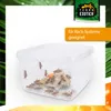 Dose 3 Liter – 19,5 × 19,5 × 11 cm – Transparent mit Produktbild-Vorschau 5