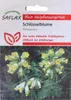 SAFLAX  - Primula odorosa - 100 semi - Primula Anteprima dell’immagine prodotto 5