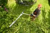 PARKSIDE® 40 V Akku-Garten-Kombigerät »PGKGA 40-Li B2«, Produktbild-Vorschau 2