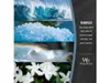 A collage of four images depicting elements of nature: a wave, ice crystals, a pearl in an oyster, and white flowers, with text describing a fragrance called Tempest. Anteprima dell’immagine prodotto