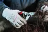 Felco 14, Bypass, Aluminium, Rot, Stahl, Edelstahl, 1 Produktbild-Vorschau 18