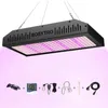 LED-Pflanzenlampe - 2000 W Grow Light - Vollspektrum - Produktbild-Vorschau 1