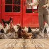 A person is feeding a flock of chickens and quail in front of a red barn. Produktbild-Vorschau