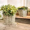 Pflanzer Rattan groß Blumenkasten Pflanzkorb Pflanzschale Produktbild-Vorschau 10