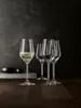 Spiegelau Style Champagnerglas, 310 ml, Glas, Transparent, Produktbild-Vorschau 10