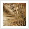 Poster - Poster ohne Rahmen - Blatt Gold Pflanze - 40x40 cm Produktbild-Vorschau 1