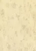 BRUNNEN 105141211 Papier wielofunkcyjny Papier uniwersalny Podgląd zdjęcia produktu 1