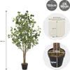 ML-Design Künstliche Eukalyptus 150 cm, Kunstpflanze mit Produktbild-Vorschau 7
