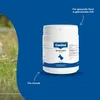 Canina Biotin Forte, Hund, Puder, Haut & Haarkleid, Produktbild-Vorschau 5
