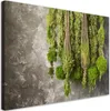 Leinwandbild Moospflanze Natur 100x70 Feeby Grün bild für Produktbild-Vorschau 1