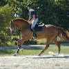 Reitstiefel Frau Kavalkade Maximus Produktbild-Vorschau 8