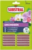 Substral Orchideen Dünger­Stäbchen 10 Stück Produktbild-Vorschau 6