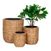 Hanoi Blumentopf Produktbild-Vorschau 2