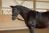 Kerbl Ausbindezügel 2 Stk. Schwarz Pony 323599 Produktbild-Vorschau 4